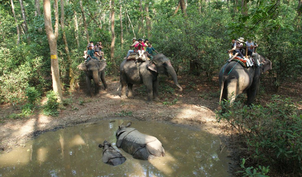chitwan
